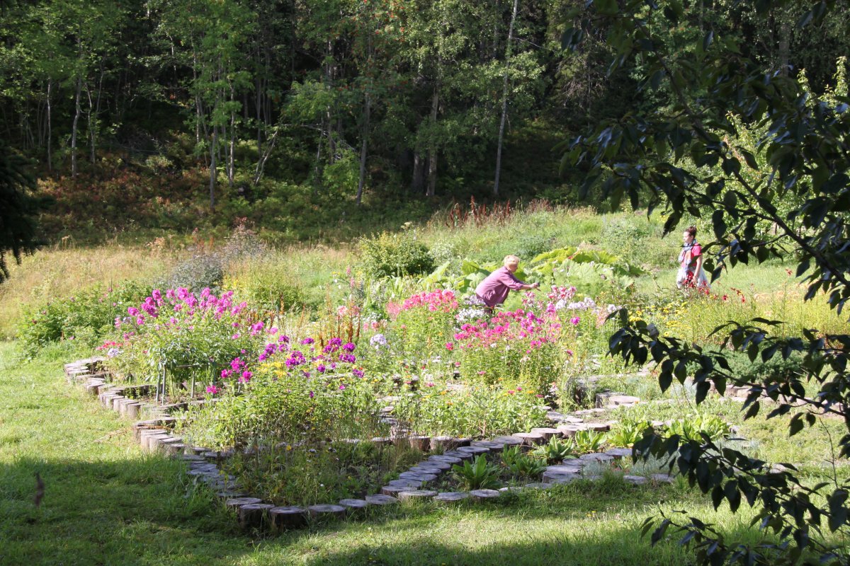 Botanical Gardens. Solovki.